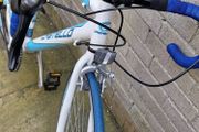 adult Bike