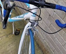 adult Bike