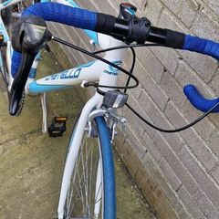 adult Bike
