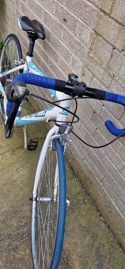 adult Bike