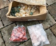 fishtank stone