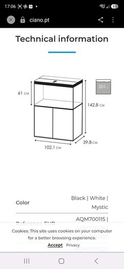 fish aquarium