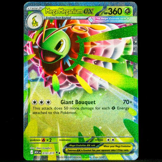 Mega Meganium EX 010/217 Double Rare Holo Ascended Heroes Mega Evolution Pokemon Card