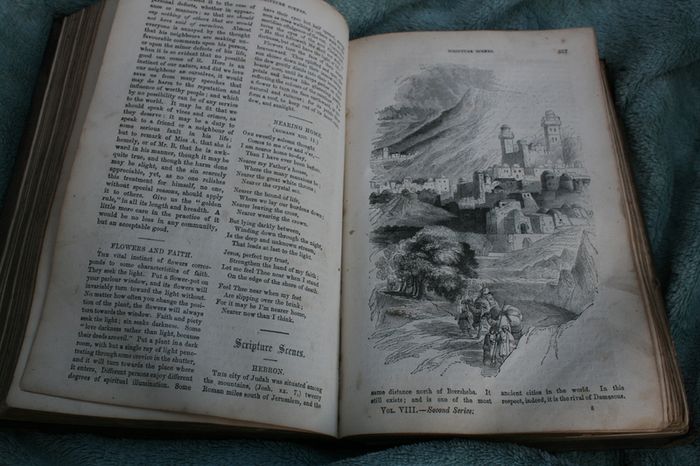 The Christian Miscellany and Family Visitor for the Year 1862