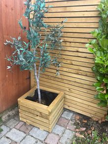 planter & artificial tree