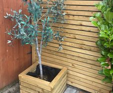 planter & artificial tree