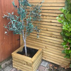 planter & artificial tree