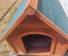kennel