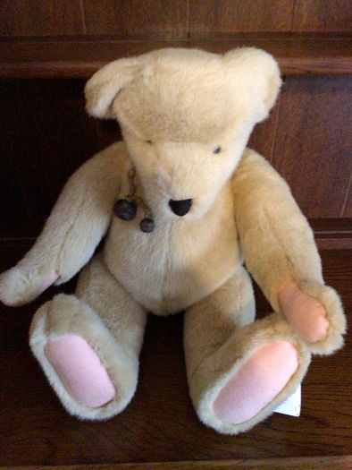 North American bear company family of bears Collectable