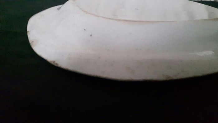 Antique Meat Platter