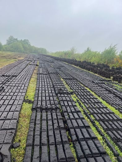 black turf