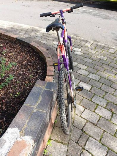 Raleigh Moonshine MTB