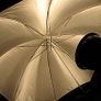 84cm 33 inch Gold & Black Umbrella Image 2