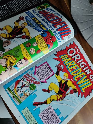 Marvel Masterworks: Daredevil Volume 1 HB