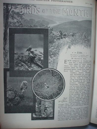 SALE!  THE AMATEUR PHOTOGRAPHER - 1903 - The Popular Illustrated Journal for All Photographers - Volume XXXVIII - July to December 1903