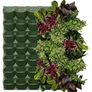 Wall-mounted vertical garden system with irrigation system Image 6