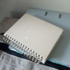 finance diary