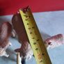 Lot Of 5 Cheaps Miniature Small Hard Plastic Farm Animals Toys. Image 4