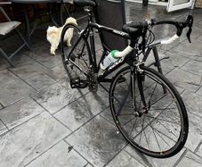 ridley triton