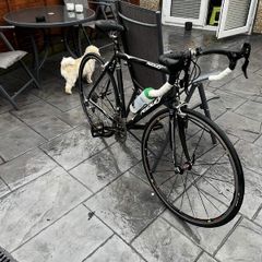 ridley triton