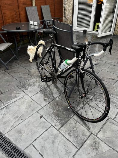 ridley triton