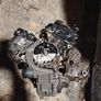 Engine Image 4