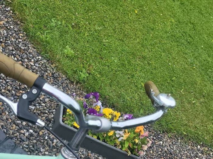 Ladies bike ready to used read add details