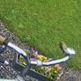 Ladies bike ready to used read add details Image 3