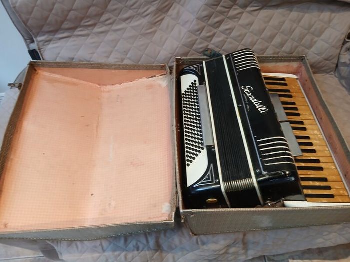 Vintage scandalli butterfly model piano  accordion, open to offers