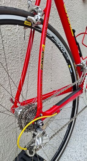 Cannondale Saeco team replica