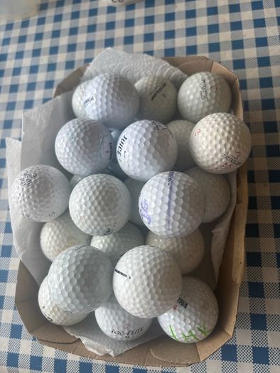 Two Dozen Golfballs. (Used)