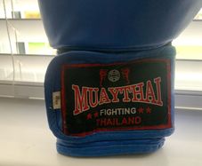 taekwondo gloves for sale.