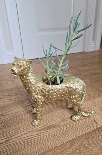 Plant pot