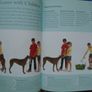 New complete dog training manual,Dr Bruce Fogle, Hardback book, Book,Non fiction Image 5