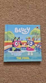 Bluey The Pool