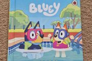 Bluey The Pool