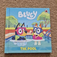 Bluey The Pool