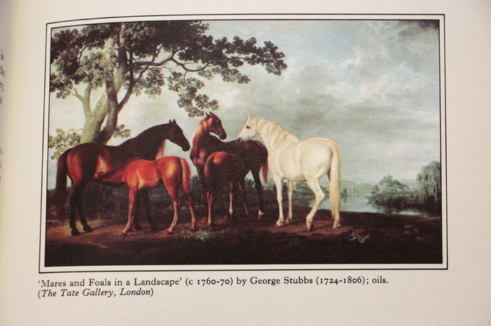 In the Country.