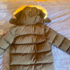 Canada goose