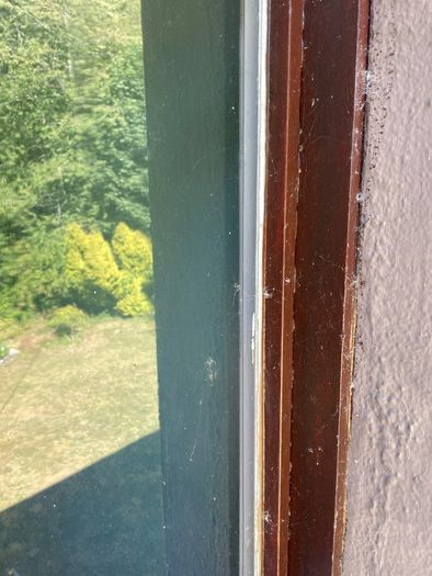 Steel window - crittal style