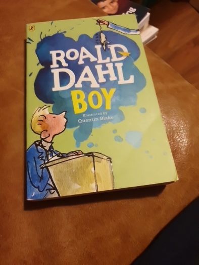 Roald Dahl Boy For Sale in Rathnew, Wicklow from burkeee