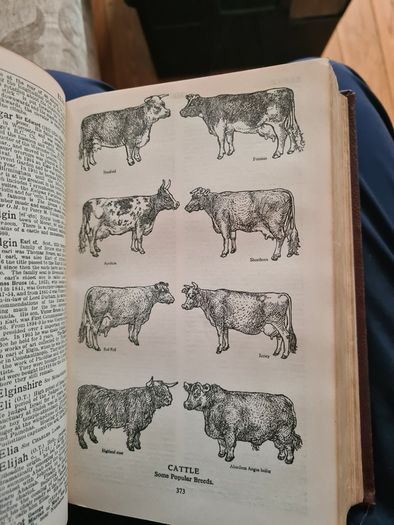 The Modern University Encyclopaedia  1957 LARGE VOLUME BOOK.