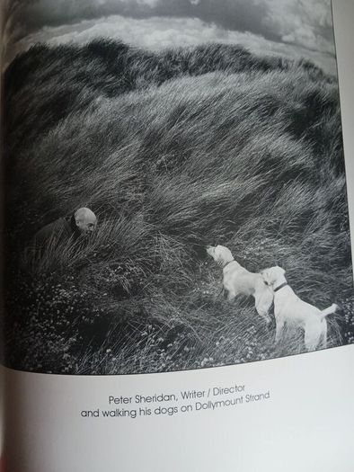 Out of Your Tree/ Dominic Lee/ 2005/ Signed