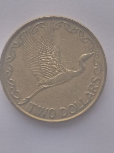 New Zealand Coin