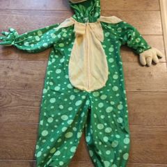 Halloween costume Frog Age 2-4