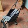 umbrella buggy Image 5