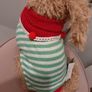 Beautiful dog christmas decoration Image 6