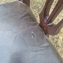 Set of 8 Dining Chairs Image 3