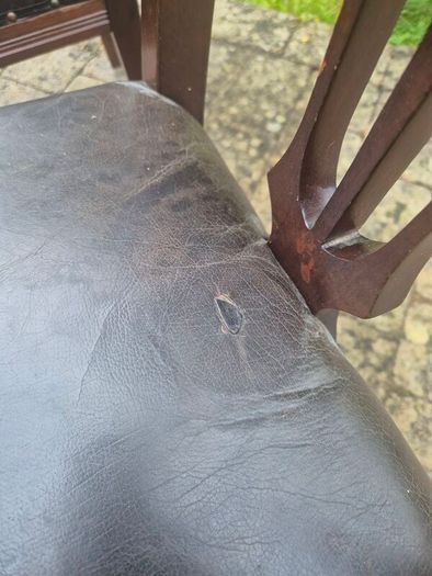 Set of 8 Dining Chairs