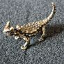3 brass lizards. Image 7